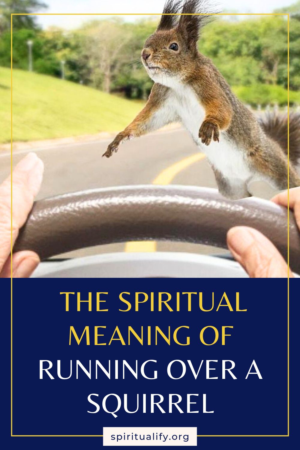 The Spiritual Meaning of Running Over a Squirrel Pin