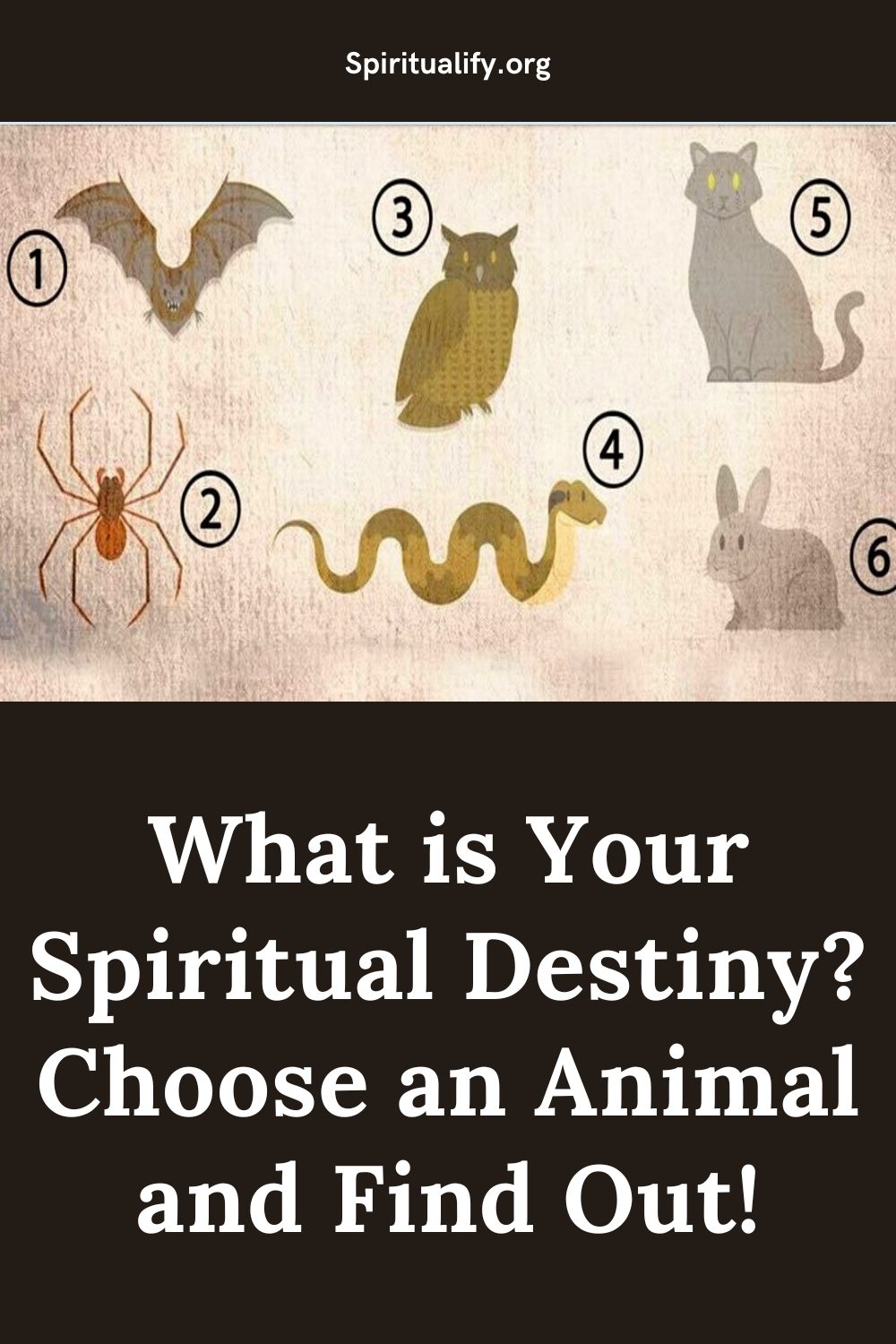 What is Your Spiritual Destiny Choose an Animal and Find Out! Pin