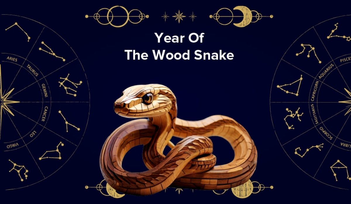 Chinese Horoscope 2025 What Does The Year of the Wood Snake Bring For You?