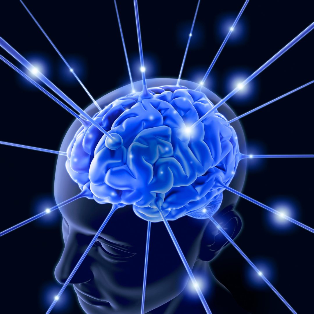 Brain Activity After Death