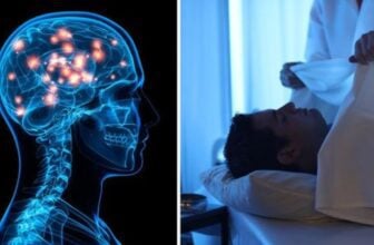 When You Die You Know You Are Dead, According to Scientists