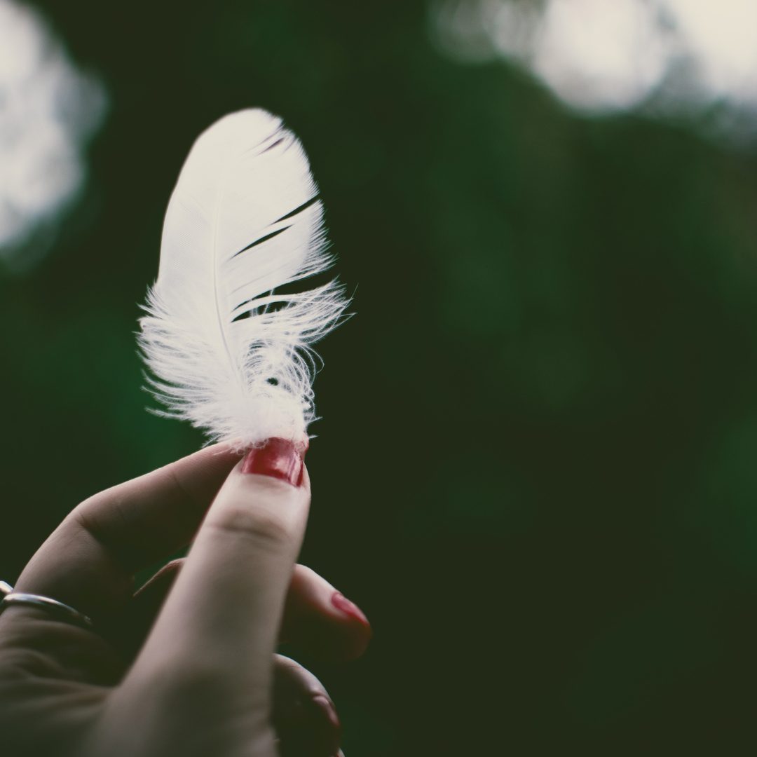 Feathers in Unlikely Places