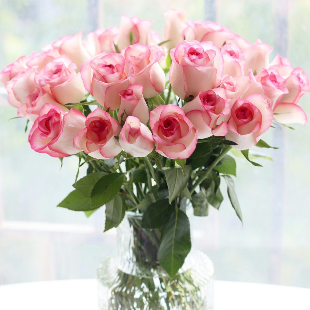 The Scent of Roses and Other Fragrant Whispers