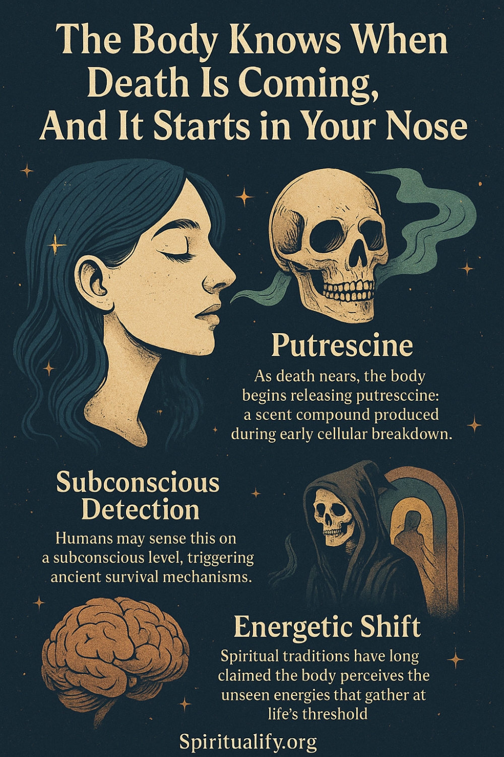 The Body Knows When Death Is Coming, And It Starts in Your Nose Infographic