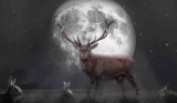 How The December Full Moon in Gemini Will Affect Your Zodiac Sign