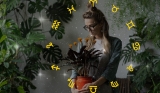 The Perfect Houseplant for You, According to Your Zodiac Sign