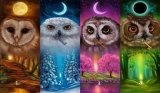 Choose One of the 4 Owls and Find Out the Truth About Yourself