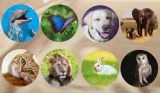 Choose Your Favorite Animal to Find Out Your Greatest Hidden Spiritual Gift