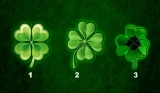 Discover What Fate Has In Store For You by Choosing a Lucky Four-Leaf Clover