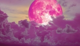 Spiritual Meaning & Astrology of The Full Pink Moon April 2023