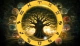 The Tree That Reflects Your Spiritual Strength, Based on Your Zodiac Sign
